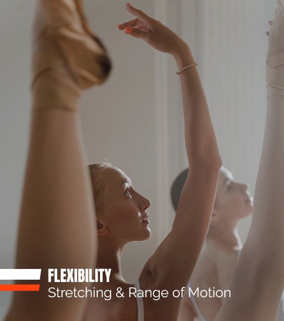 Ultra K Flexibility with K Vitamin Blend